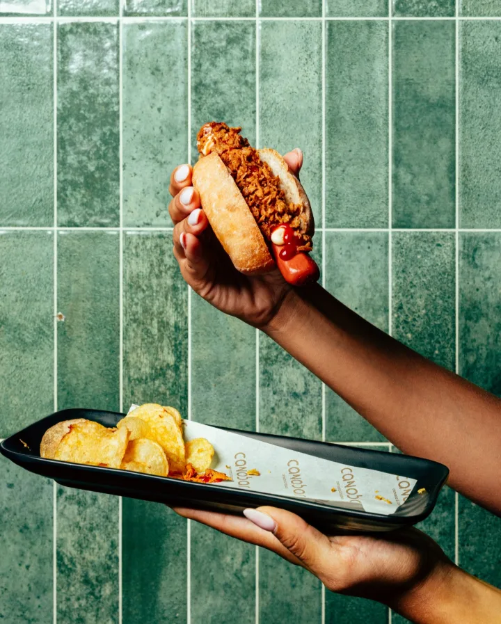 Perrito con carne desmenuzada y patatas sobre azulejo verde